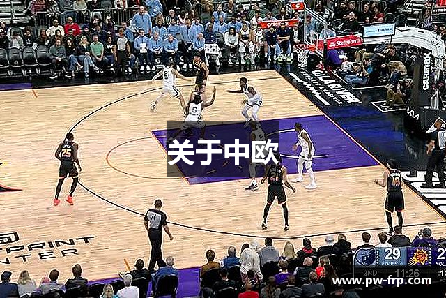 关于中欧